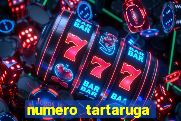 numero tartaruga jogo do bicho